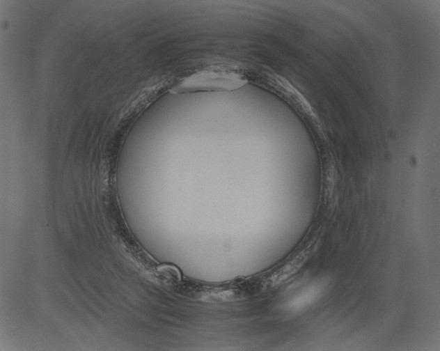 X0000081370257200702020212