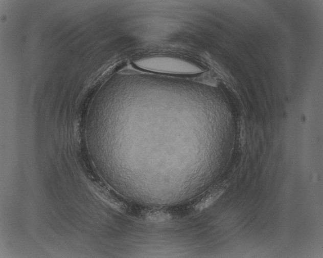 X0000081370258200702020212