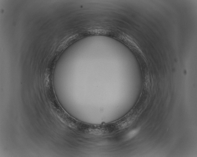 X0000081370259200702020212