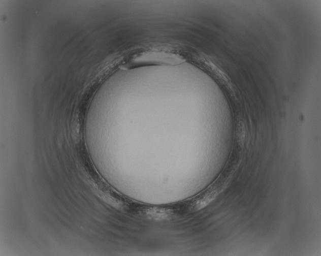 X0000081370261200702020212