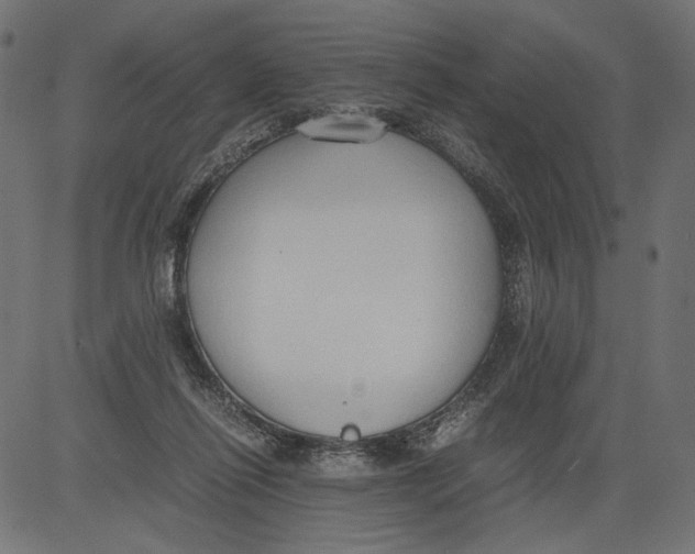 X0000081370262200702020212