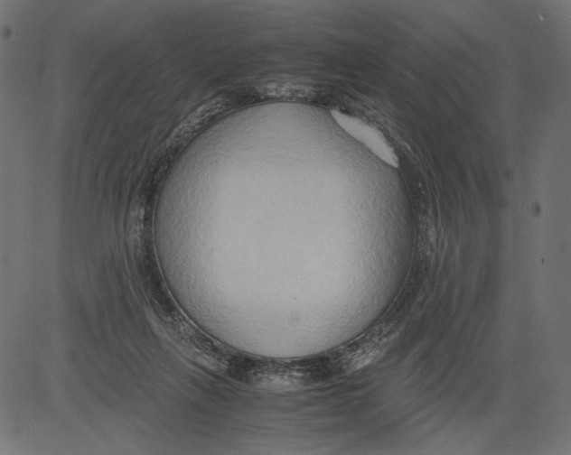 X0000081370263200702020212