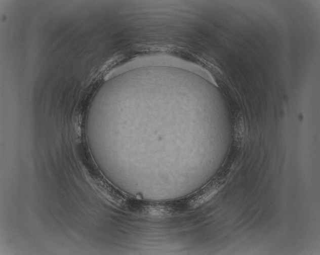 X0000081370264200702020212