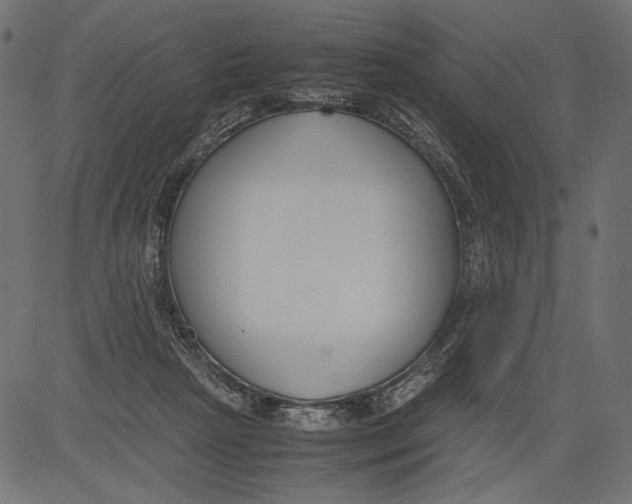 X0000081370265200702020212