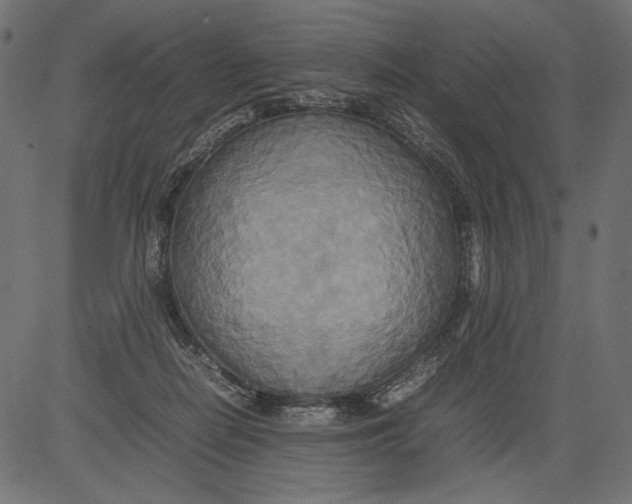 X0000081370266200702020212