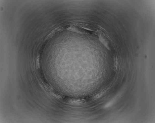 X0000081370267200702020212