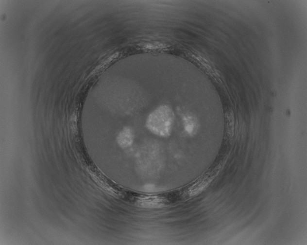 X0000081370269200702020212