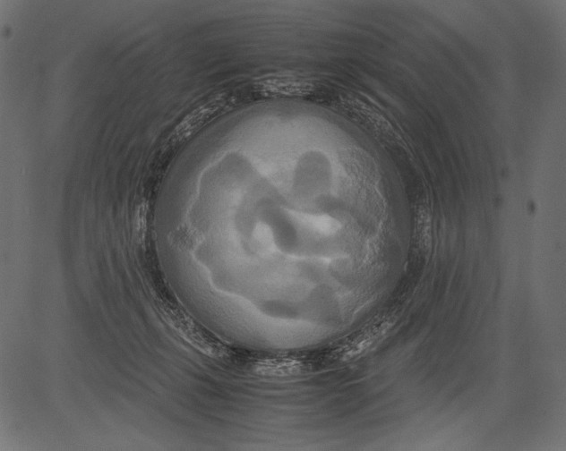 X0000081370271200702020212