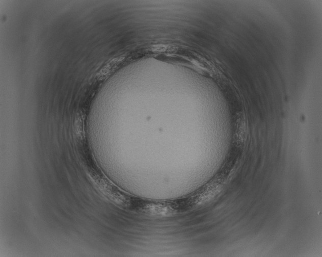 X0000081370272200702020213