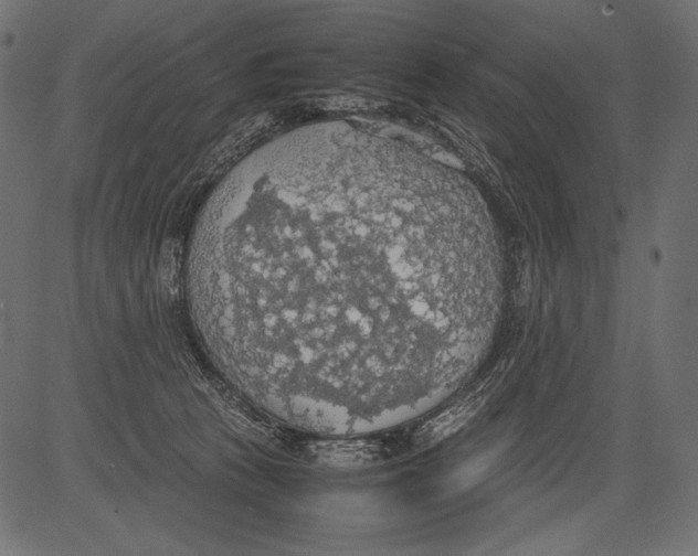 X0000081370273200702020213