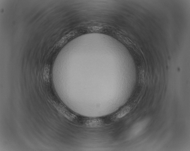 X0000081370274200702020213