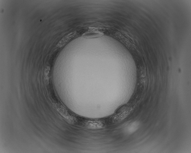 X0000081370275200702020213