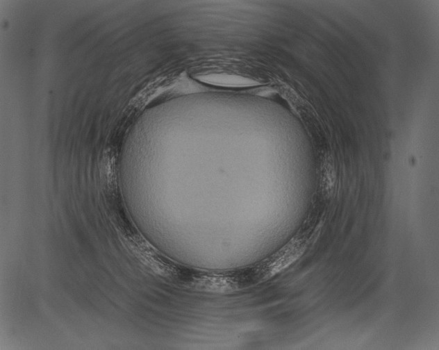 X0000081370276200702020213