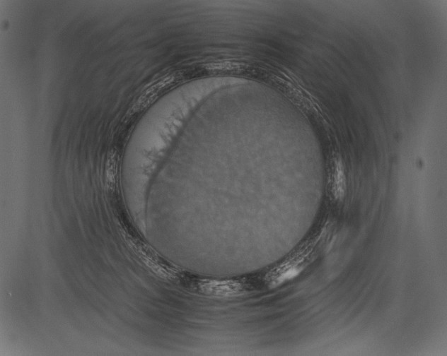 X0000081370277200702020213