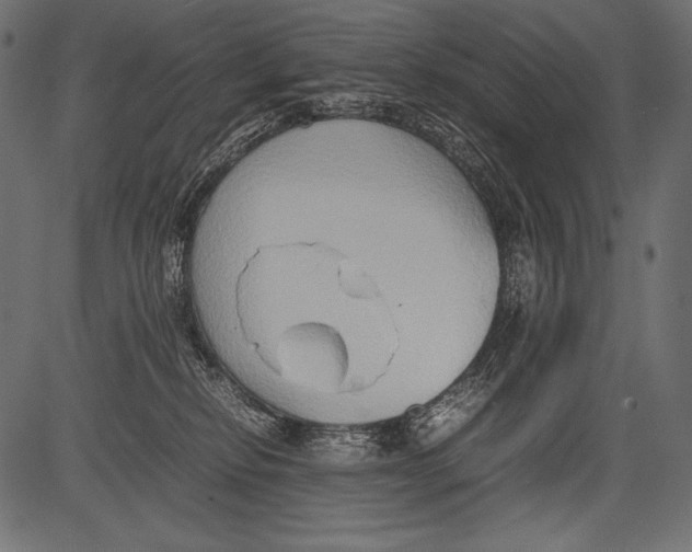 X0000081370278200702020213