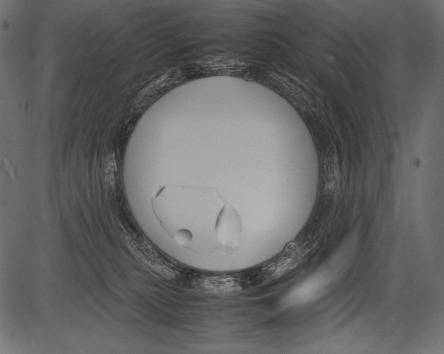 X0000081370279200702020213