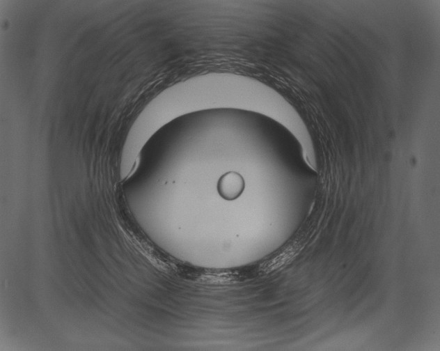 X0000081370280200702020213