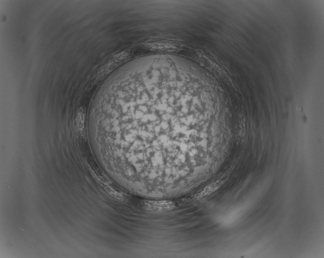 X0000081370281200702020213