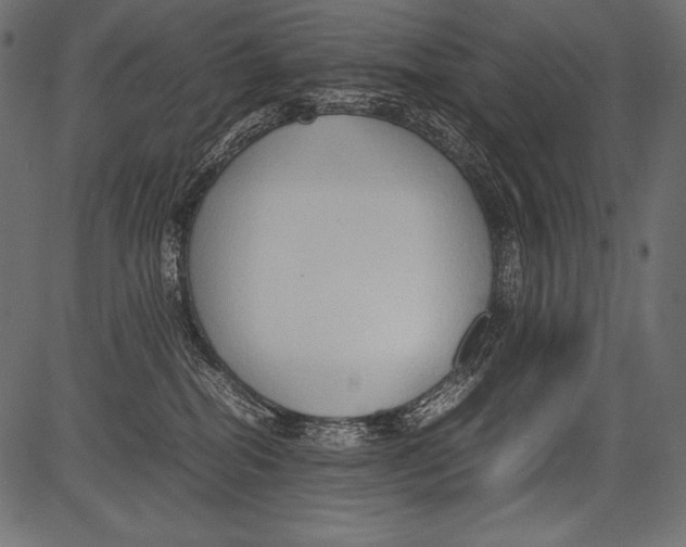 X0000081370282200702020213