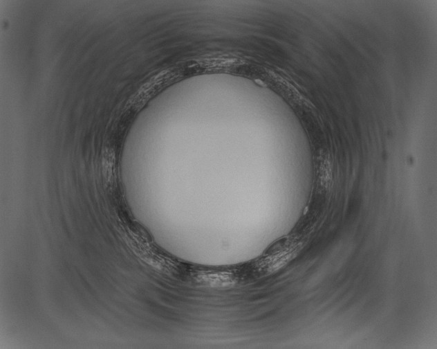 X0000081370283200702020213