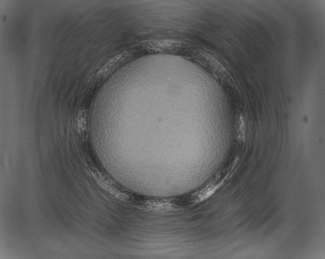 X0000081370284200702020213