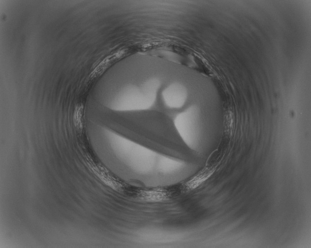 X0000081370286200702020213