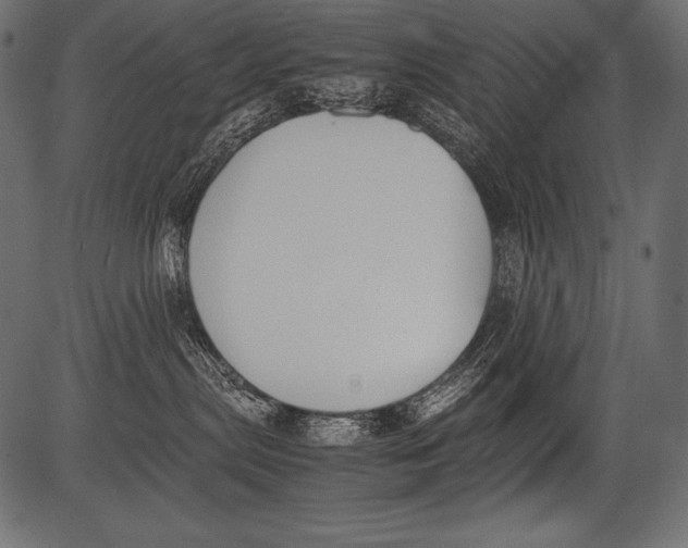 X0000081370287200702020213