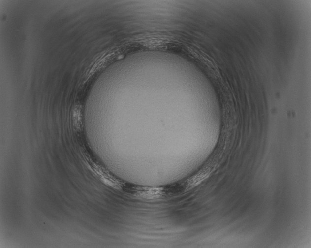 X0000081370288200702020213