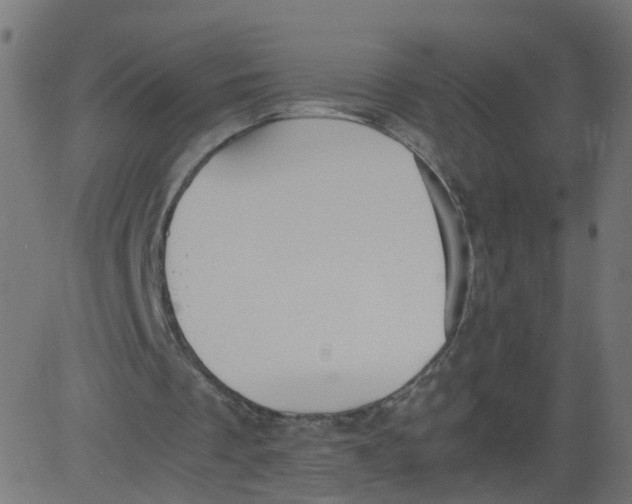 X0000081370289200702020212