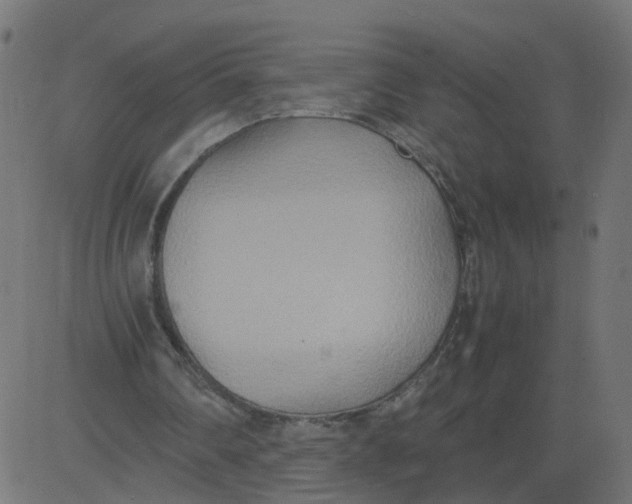 X0000081370290200702020212