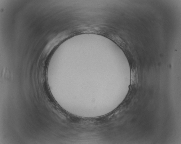 X0000081370291200702020212