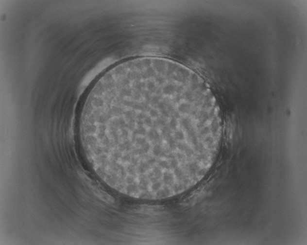 X0000081370292200702020212