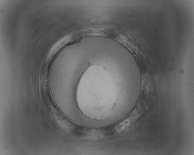 X0000081370293200702020212