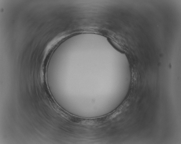 X0000081370294200702020212