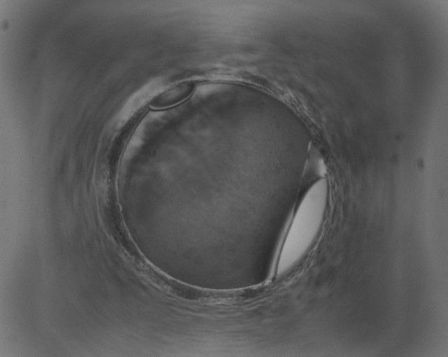 X0000081370295200702020212