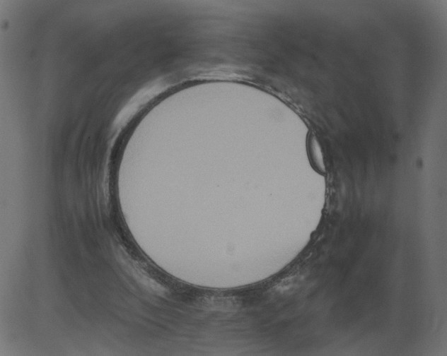 X0000081370296200702020212