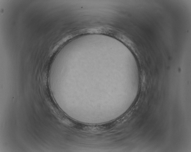 X0000081370297200702020212