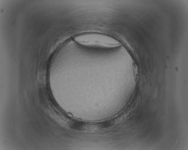 X0000081370299200702020212