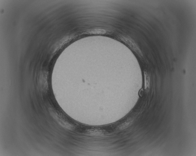 X0000081370300200702020212