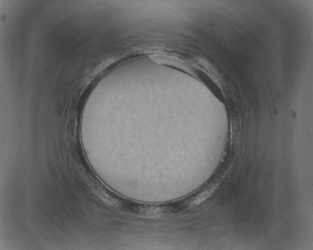 X0000081370301200702020212