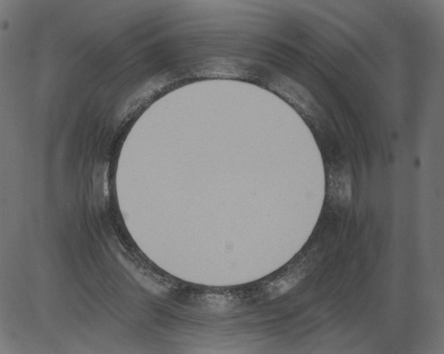 X0000081370302200702020212