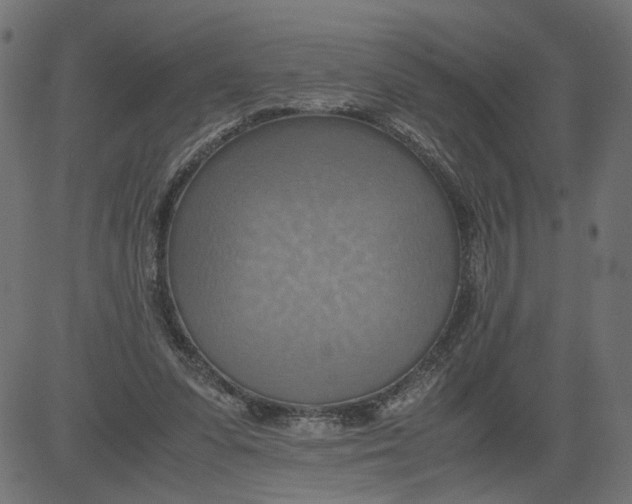 X0000081370303200702020212