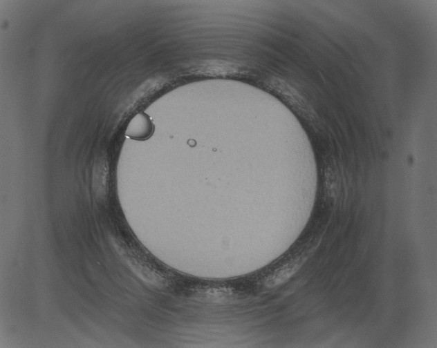 X0000081370304200702020212