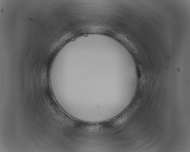 X0000081370306200702020212