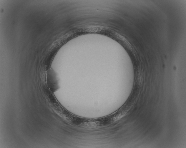 X0000081370307200702020212