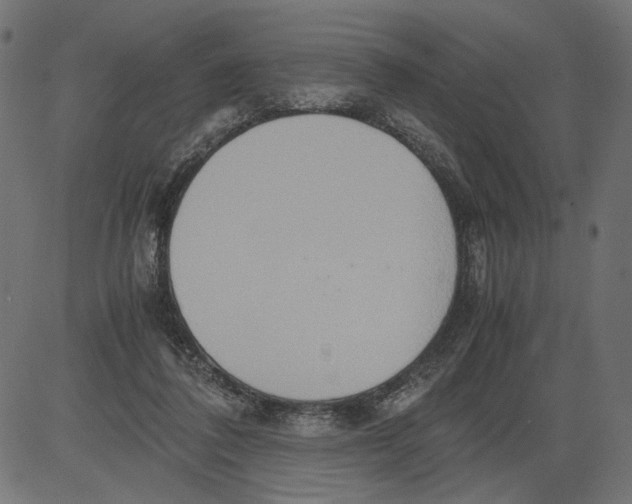 X0000081370308200702020212