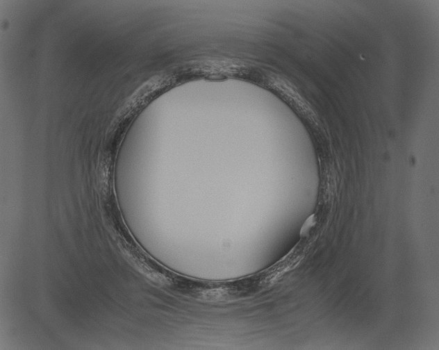 X0000081370309200702020212