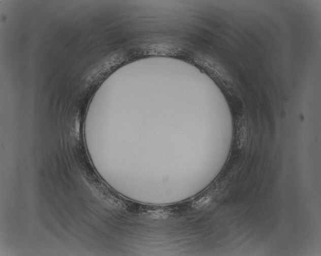 X0000081370310200702020212