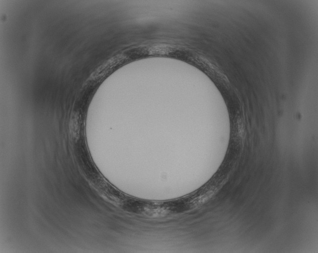 X0000081370311200702020212