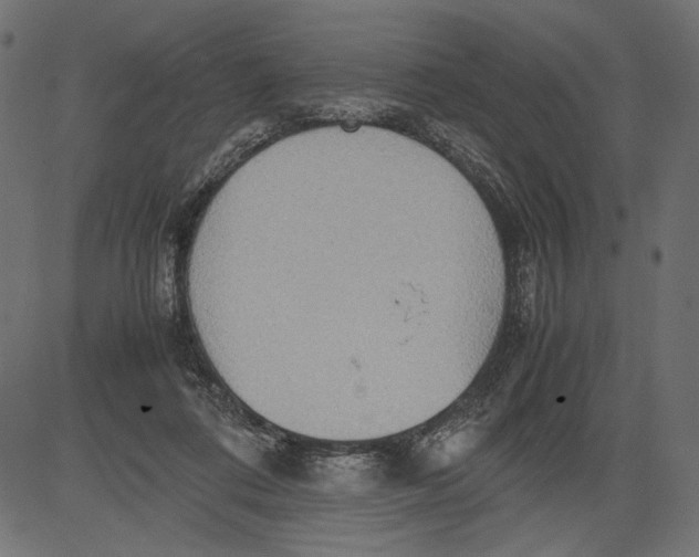 X0000081370312200702020212